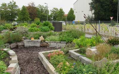 Der neue Kräutergarten kann sich sehen lassen (Foto: KJF/Stefan Görge)